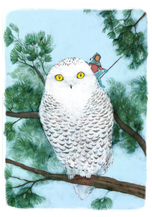 colour illustration in pencil and digital of snowy owl on a pine branch with a pixie rider